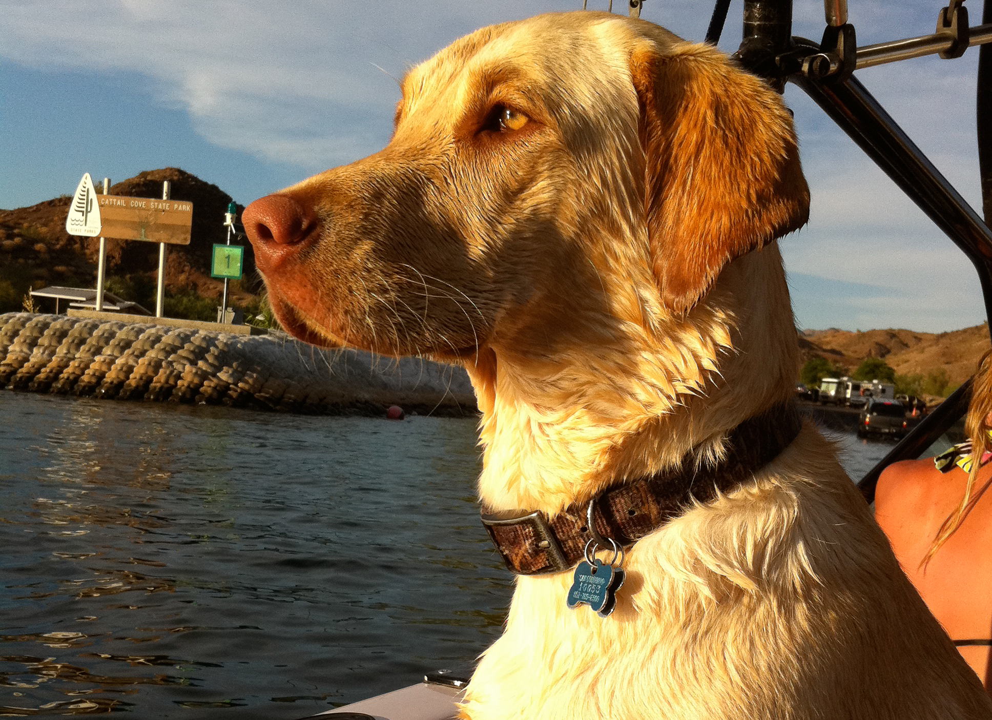 Thing To Do Pet Friendly